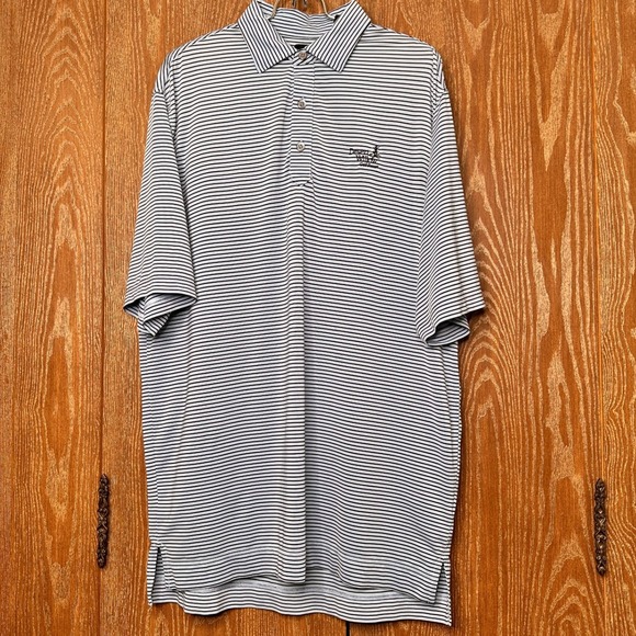 FootJoy Golf Polo Shirt Men's Large Striped Desert Willow Resort Short Sleeve - Picture 1 of 9